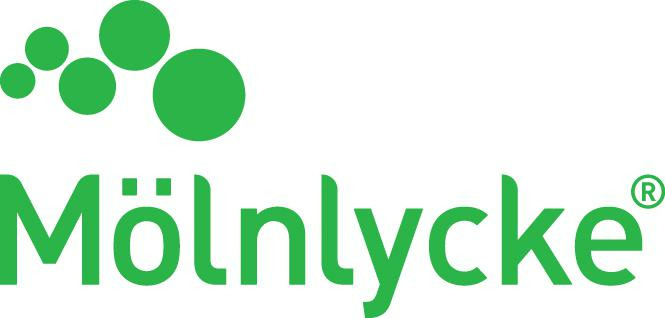 Molnlykce logo