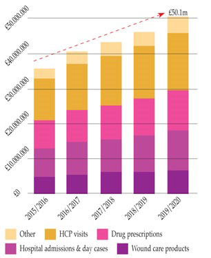 Figure 1. Breakdown in spend and predicted growth of wound care costs 