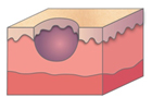 Figure 3a