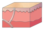 Figure 3e