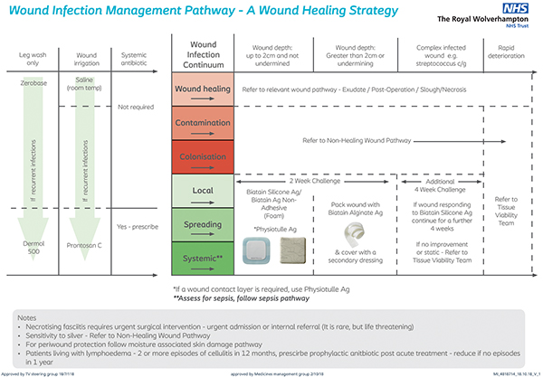 Infection-Pathway-figure