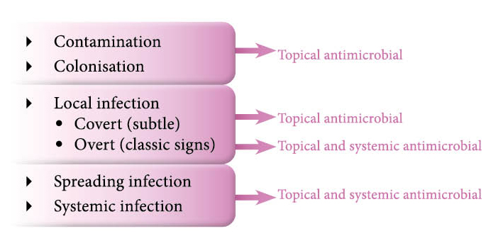 Figure 2. Continuum of infection.